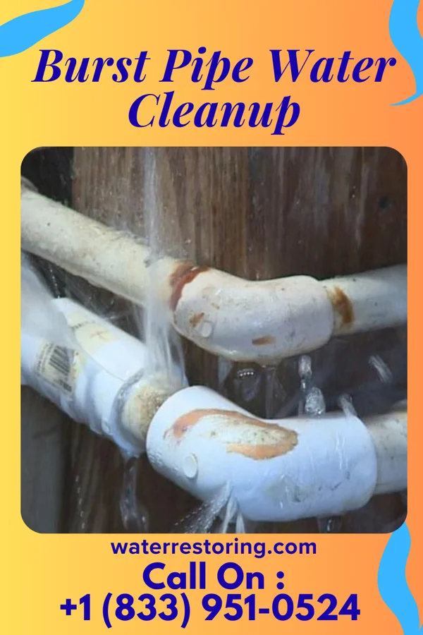 Burst Pipe Water Cleanup in The Pinery, CO
